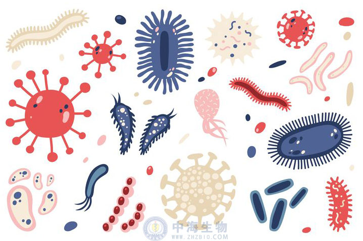 微生物是什么？哪些營養(yǎng)物質(zhì)促進(jìn)微生物生長繁殖？