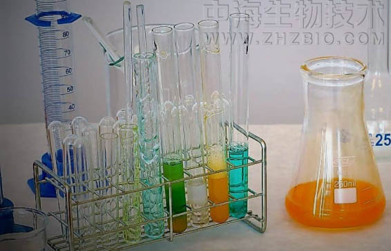 淺談培養(yǎng)基保存放置需注意四個(gè)方面？